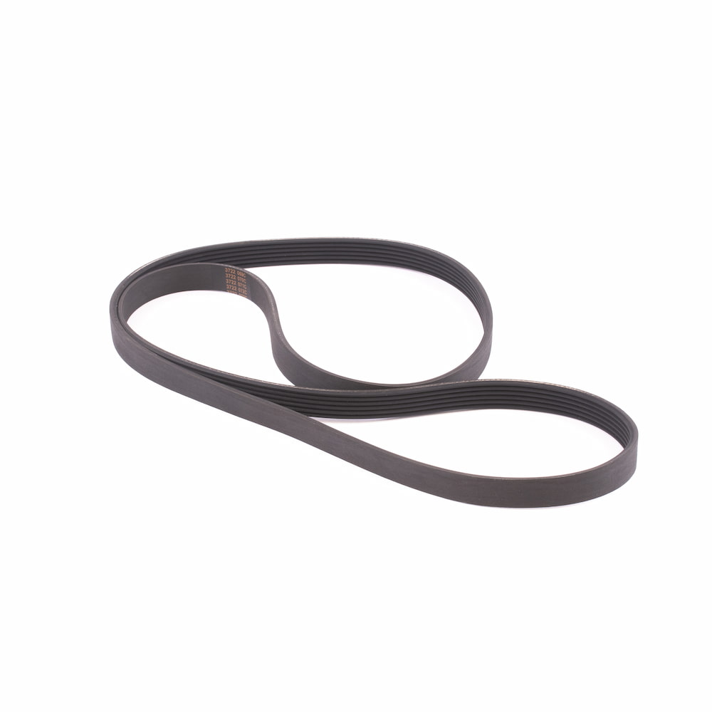 Courroie MOOVYOO - FitnessBoutique