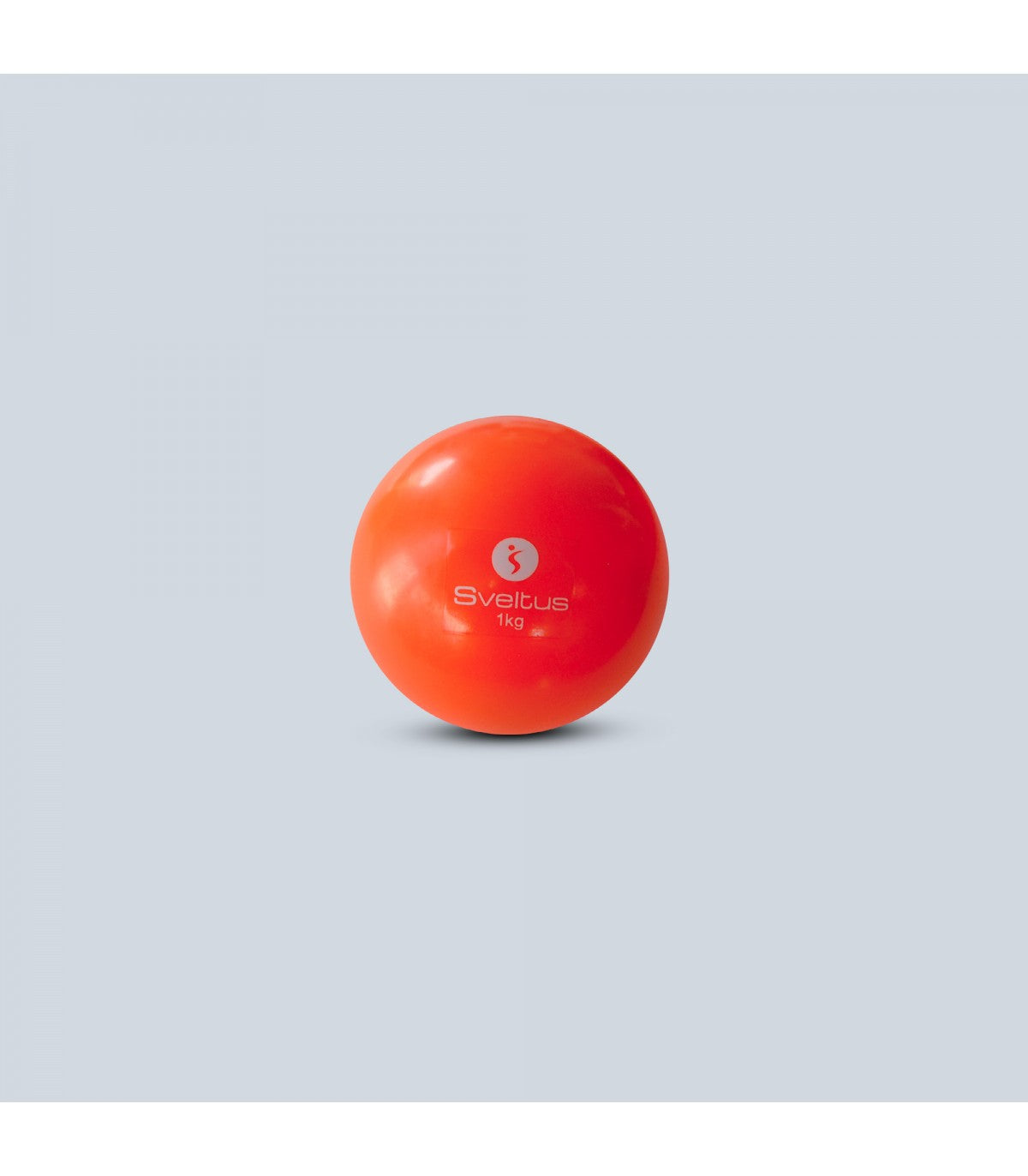 Balle Lestée 2 kg