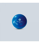 Balle Lestée 2 kg