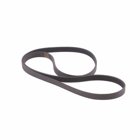 Courroie MOOVYOO - FitnessBoutique