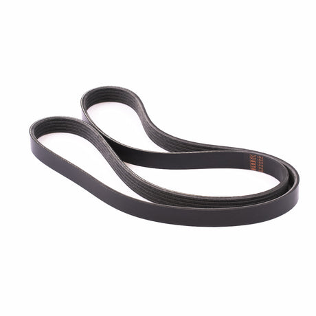 Courroie MOOVYOO - FitnessBoutique