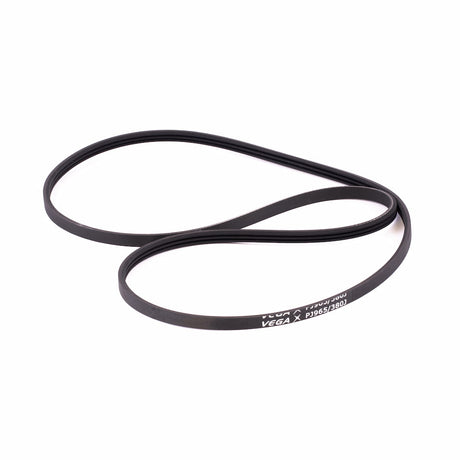 Courroie 2 MOOVYOO - FitnessBoutique