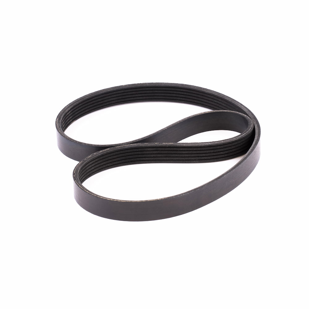 Courroie ANDRE MARTIN - FitnessBoutique