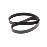 Courroie ANDRE MARTIN - FitnessBoutique